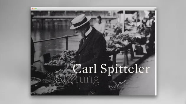 carl spitteler stiftung corporate design webdesign ui ux 1