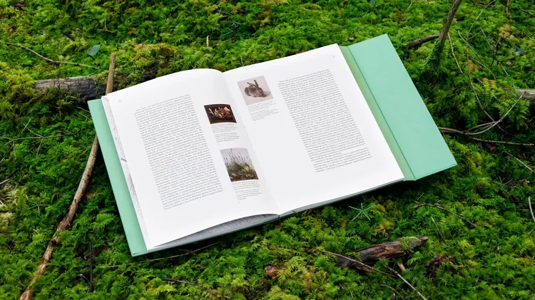 equipe visuelle luzern emmenbruecke grafik agentur buch gestaltung marcel reuschmann etidtion stephan witschi 42