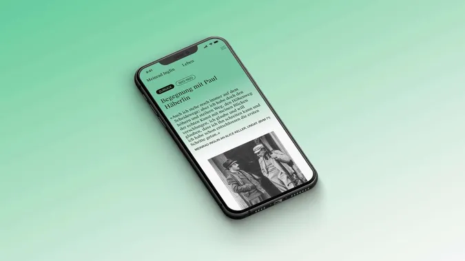 meinrad inglin stiftung luzern webdesign corporate design ui ux mobile