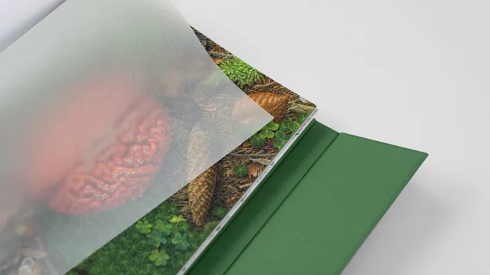 Equipe visuelle luzern emmenbruecke grafik agentur buch gestaltung marcel reuschmann etidtion stephan witschi 22