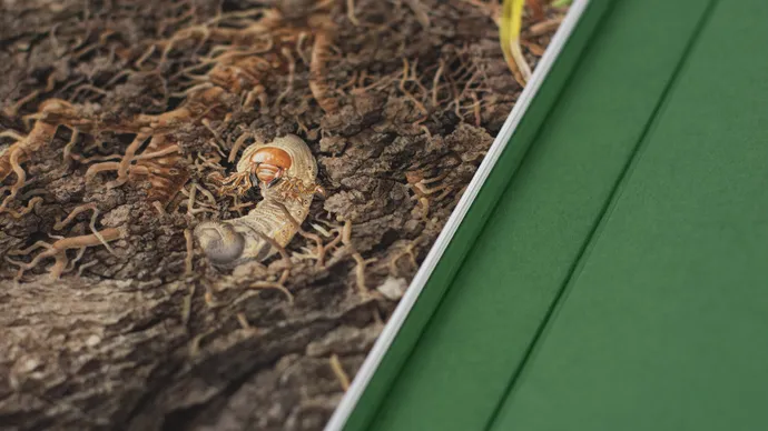 Equipe visuelle luzern emmenbruecke grafik agentur buch gestaltung marcel reuschmann etidtion stephan witschi 25