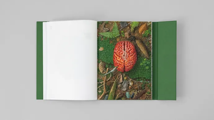 Equipe visuelle luzern emmenbruecke grafik agentur buch gestaltung marcel reuschmann etidtion stephan witschi 32