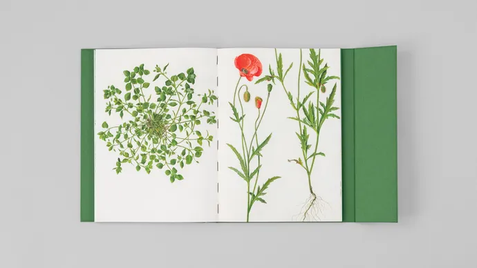 Equipe visuelle luzern emmenbruecke grafik agentur buch gestaltung marcel reuschmann etidtion stephan witschi 37