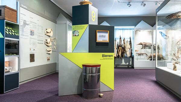 Equipe visuelle luzern emmenbruecke agentur grafik design museum luzern was wiegt demokratie ausstellung szenografie beschriftung 007