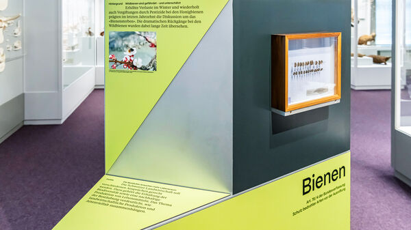 Equipe visuelle luzern emmenbruecke agentur grafik design museum luzern was wiegt demokratie ausstellung szenografie beschriftung 008