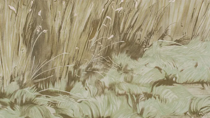 Equipe visuelle luzern emmenbruecke agentur grafik design schellenmatt wandbild fassade kunst malerei 006